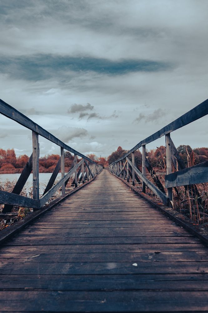 Photograph by Елена Ефимова