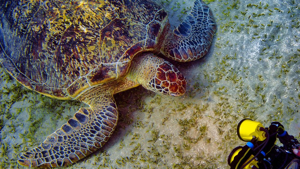 Photograph by Сергей Малеев