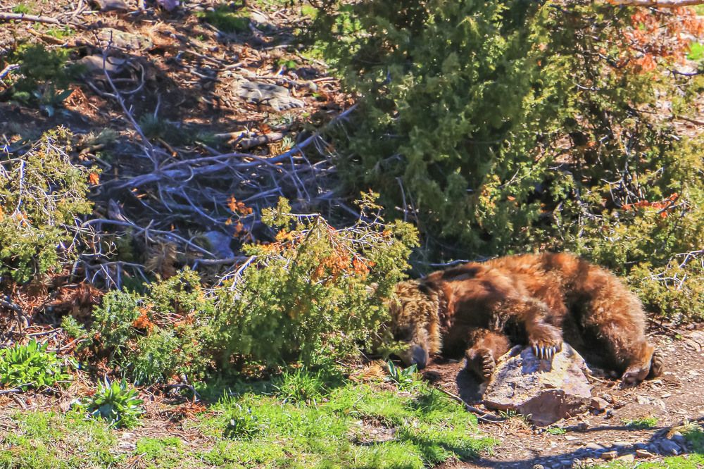 Photograph by Stanislav Strisovsky