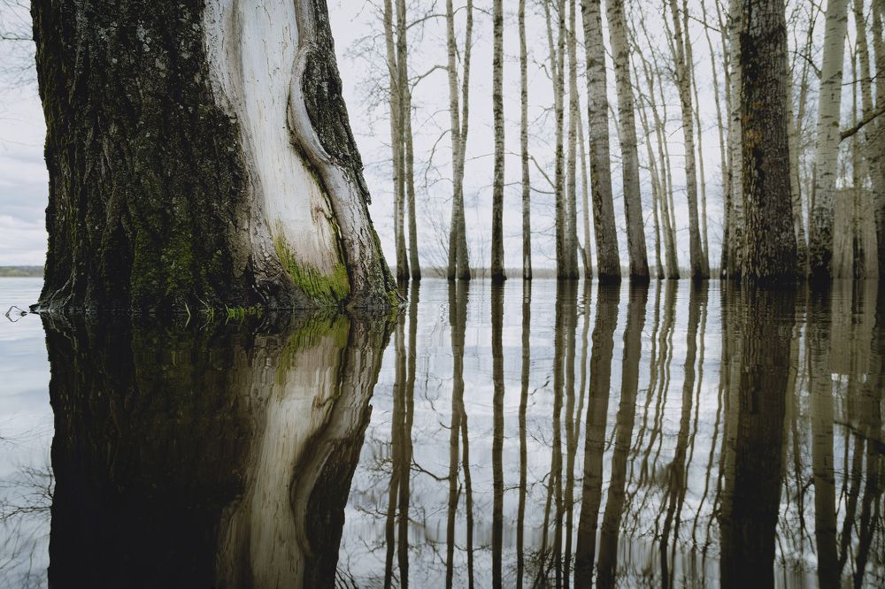 Photograph by Полина Шаронова