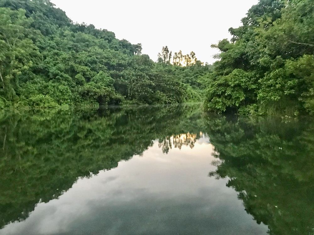 Фотография автора Washiful Majid