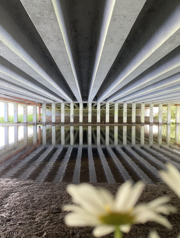 Photograph by ЛИЛИЯ БОБКО