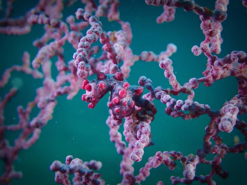 Photograph by Анна