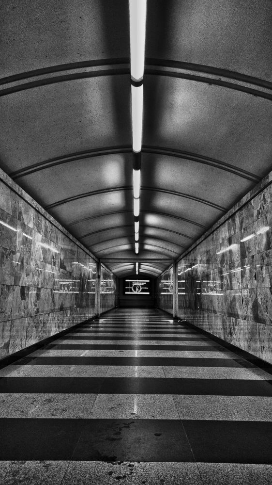 Photograph by Светлана Барабанова