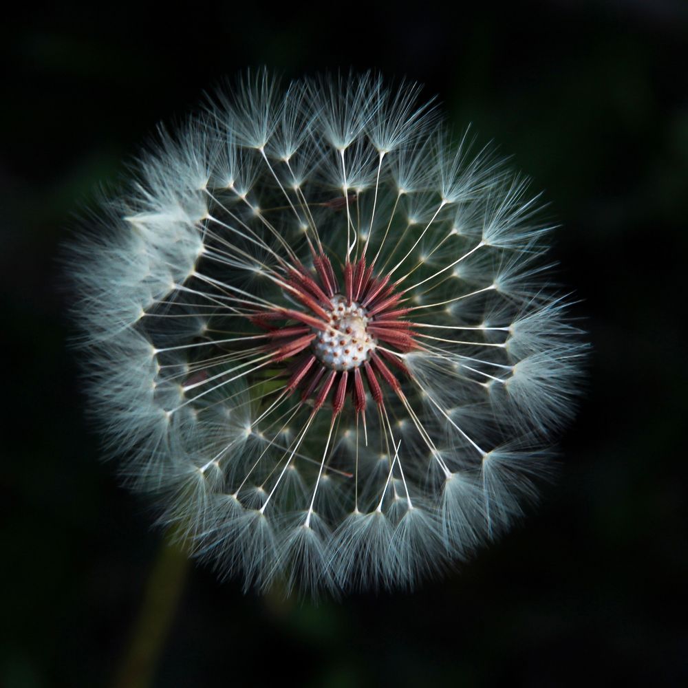 Фотография автора Hosein Davoodi