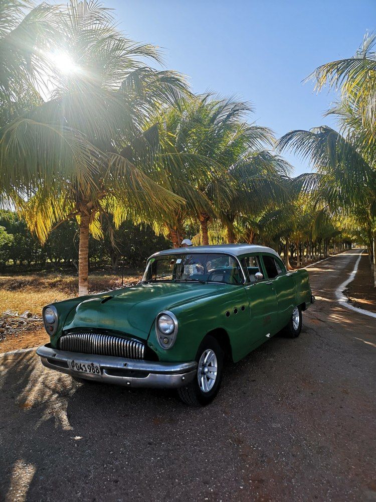 Photograph by Ruzena Suchánková