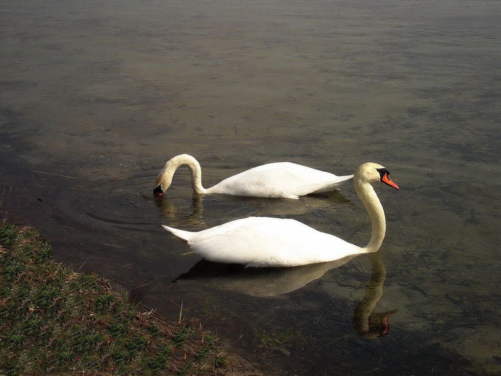 Фотография автора Ирина Кухарчук
