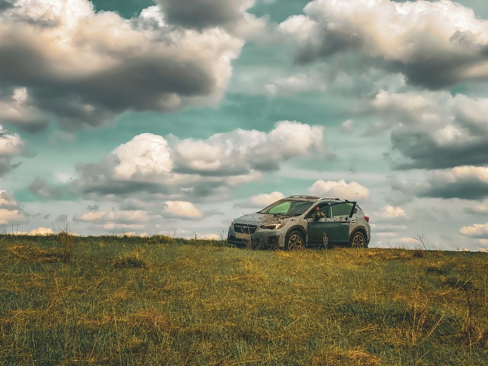 Фотография автора Александр