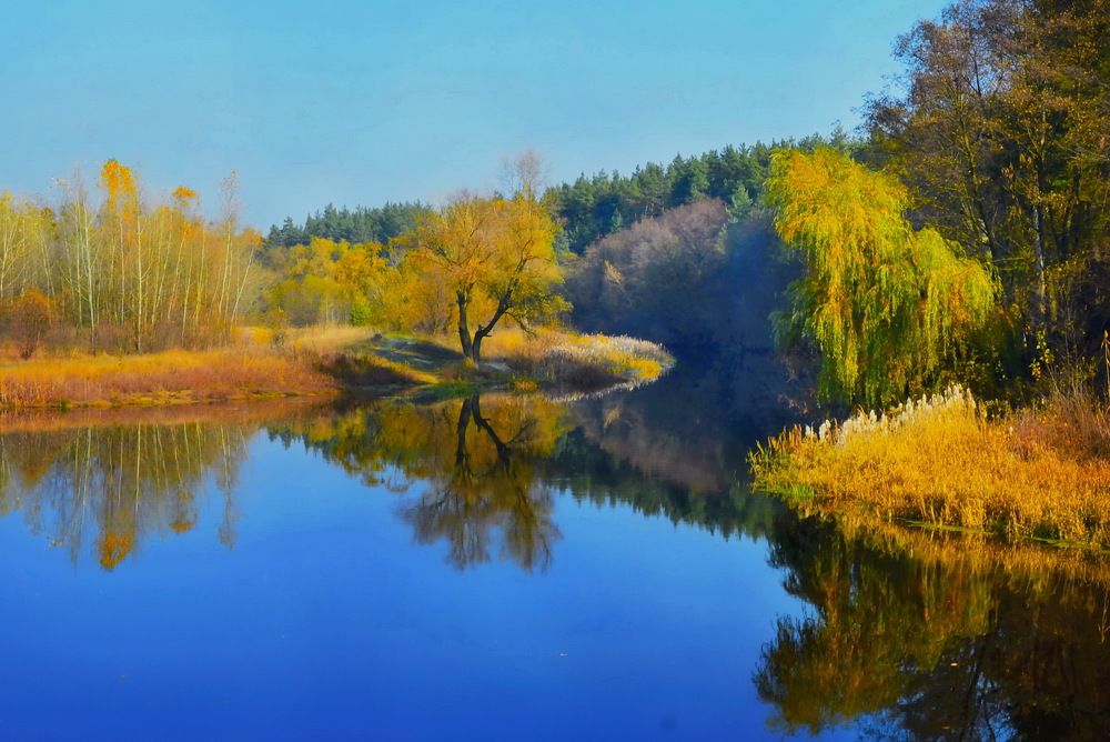 Фотография автора ВЛАДИМИР Тертышник