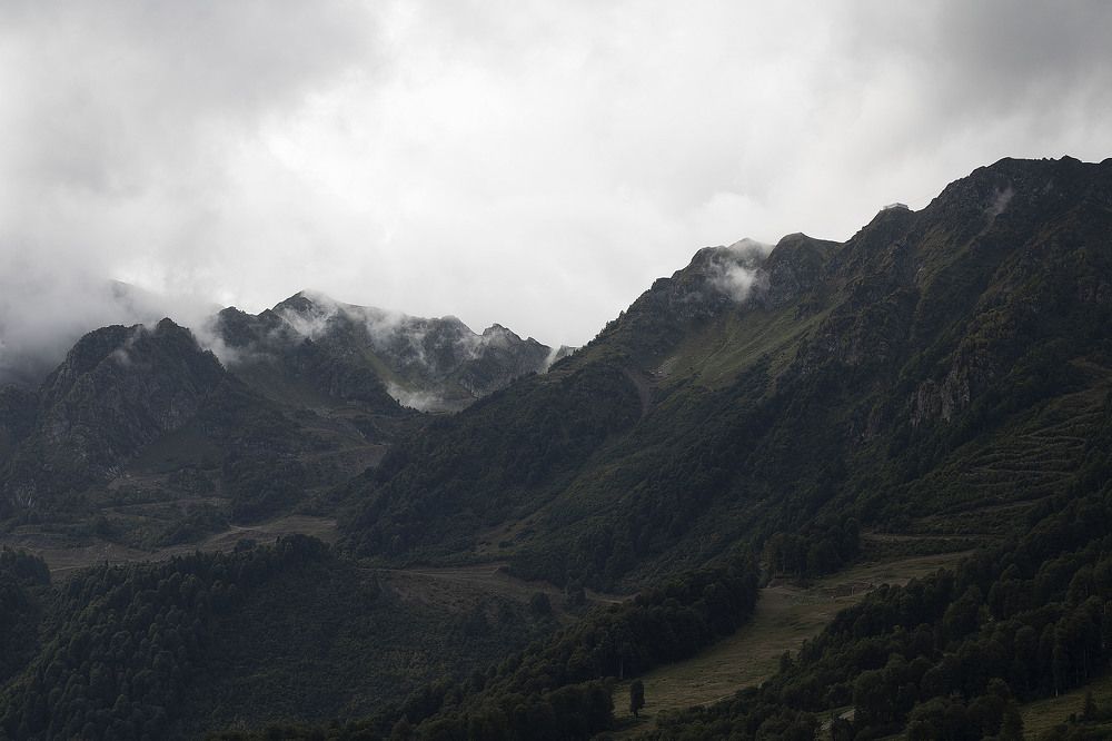 Photograph by Елена Птуха