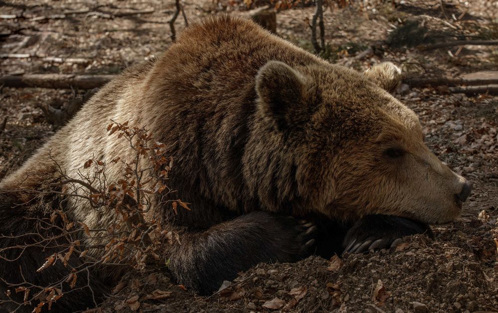 Photograph by Taтьяна Войлокова