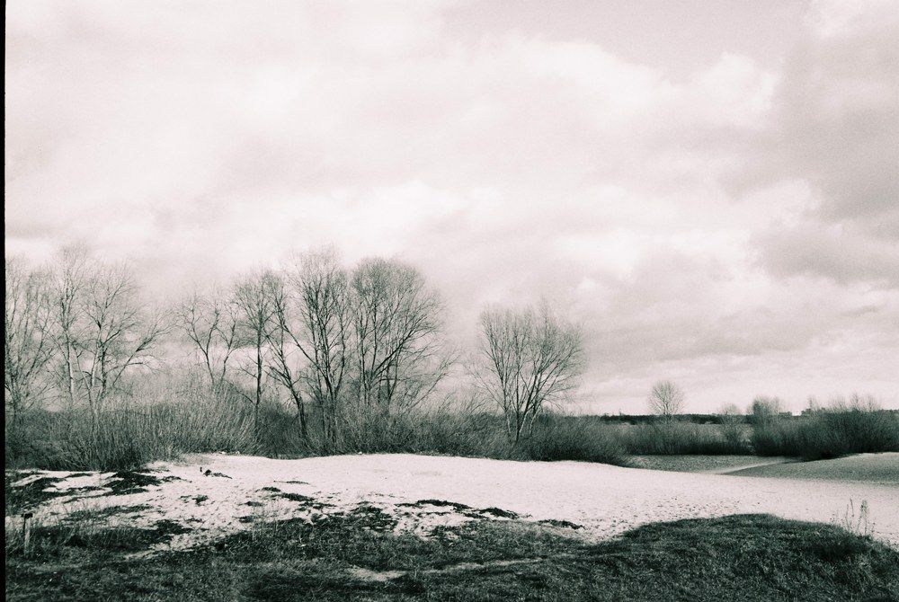 Photograph by Дмитрий Жуков