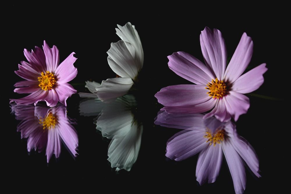 Photograph by Людмила Таерова