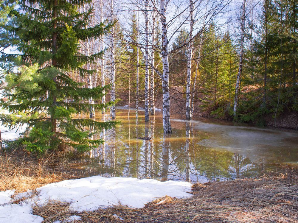 Photograph by Николай Путинцев