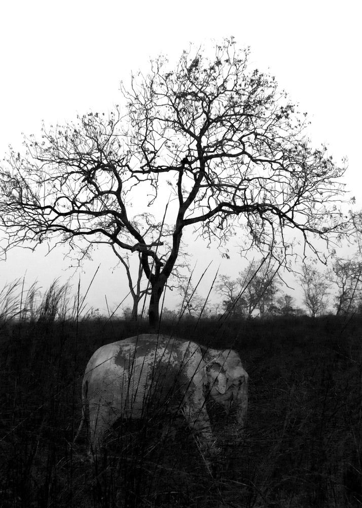 Photograph by Puspita Chowdhury