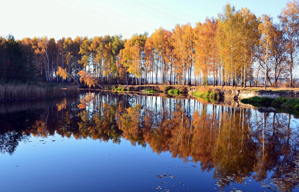 Фотография автора ВЛАДИМИР Тертышник