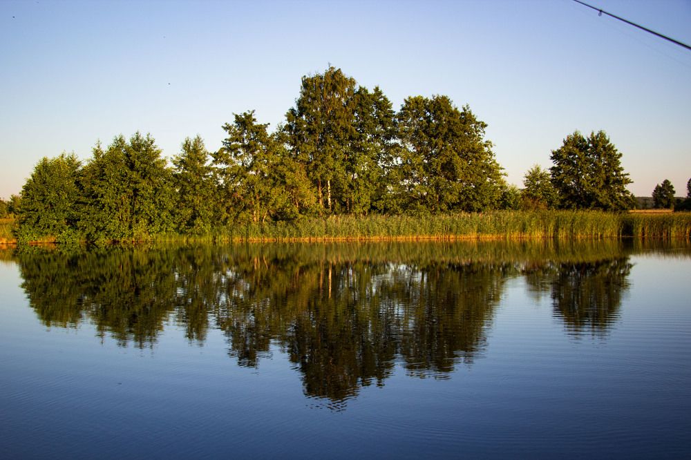 Фотография автора Елена Запертова