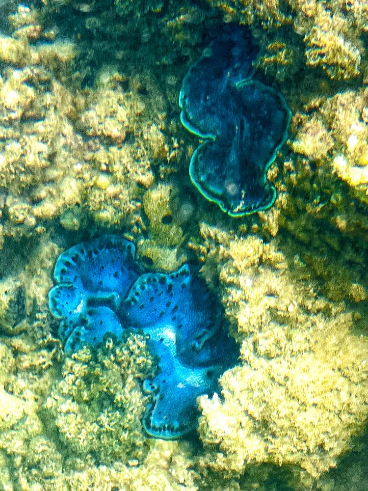 Photograph by Татьяна Михайловна