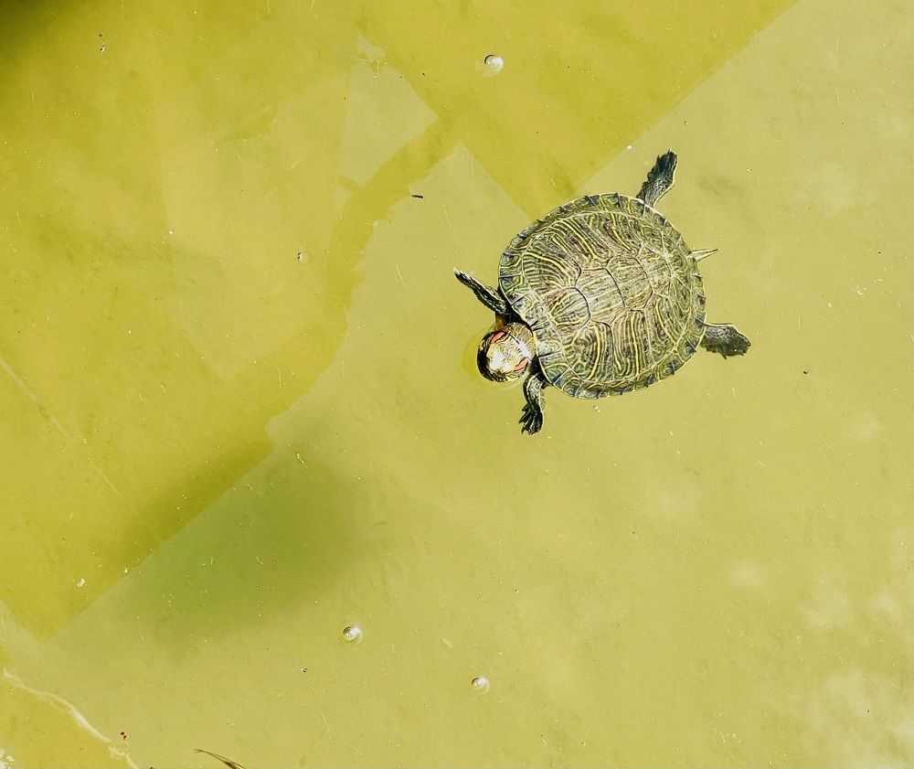 Photograph by Татьяна Михайловна