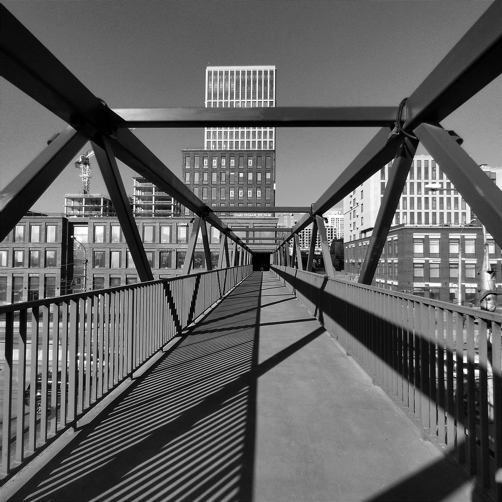 Геометрический праздник