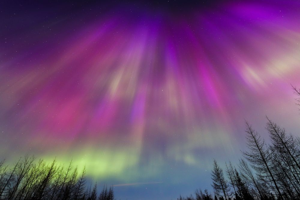 Photograph by Евгений Ничипорук