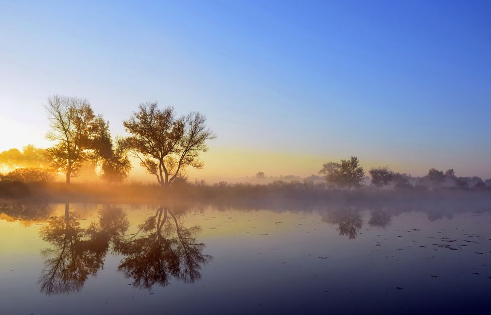 Фотография автора ВЛАДИМИР Тертышник