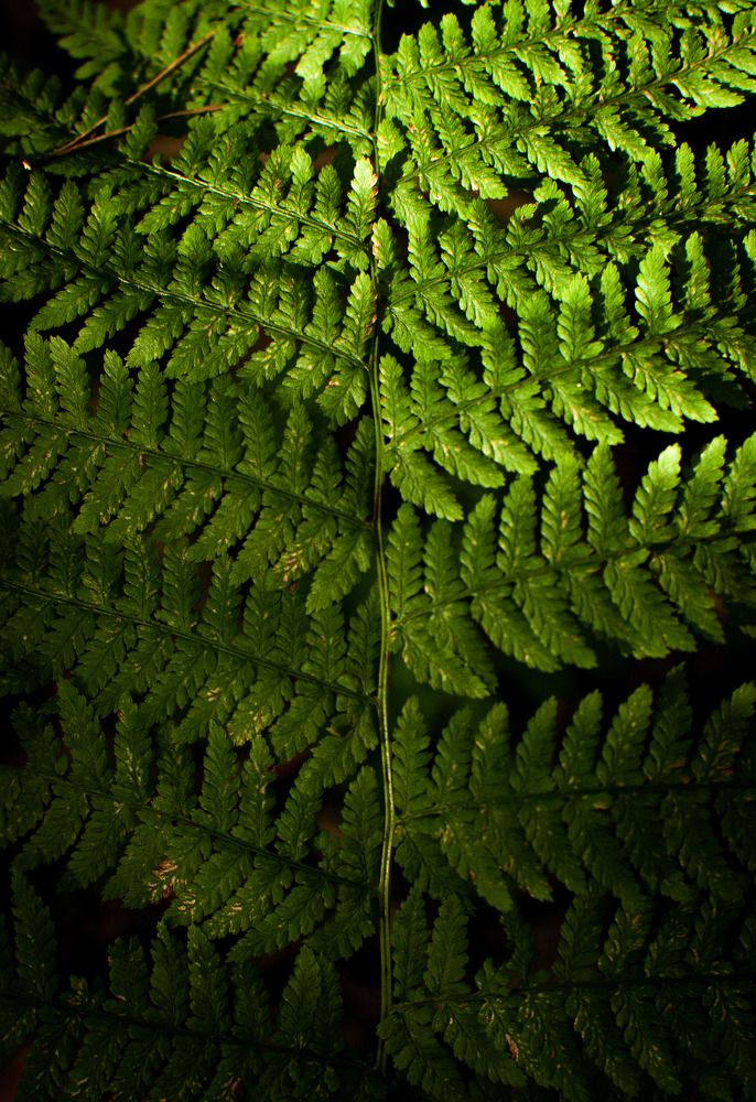 Photograph by Олеся Лагутина