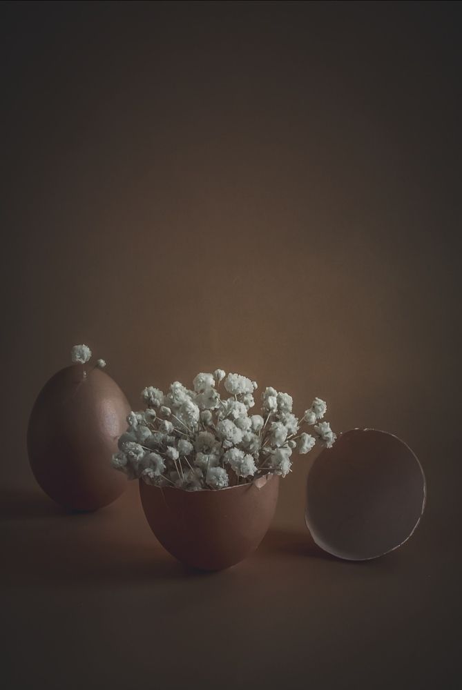 Photograph by Дарья