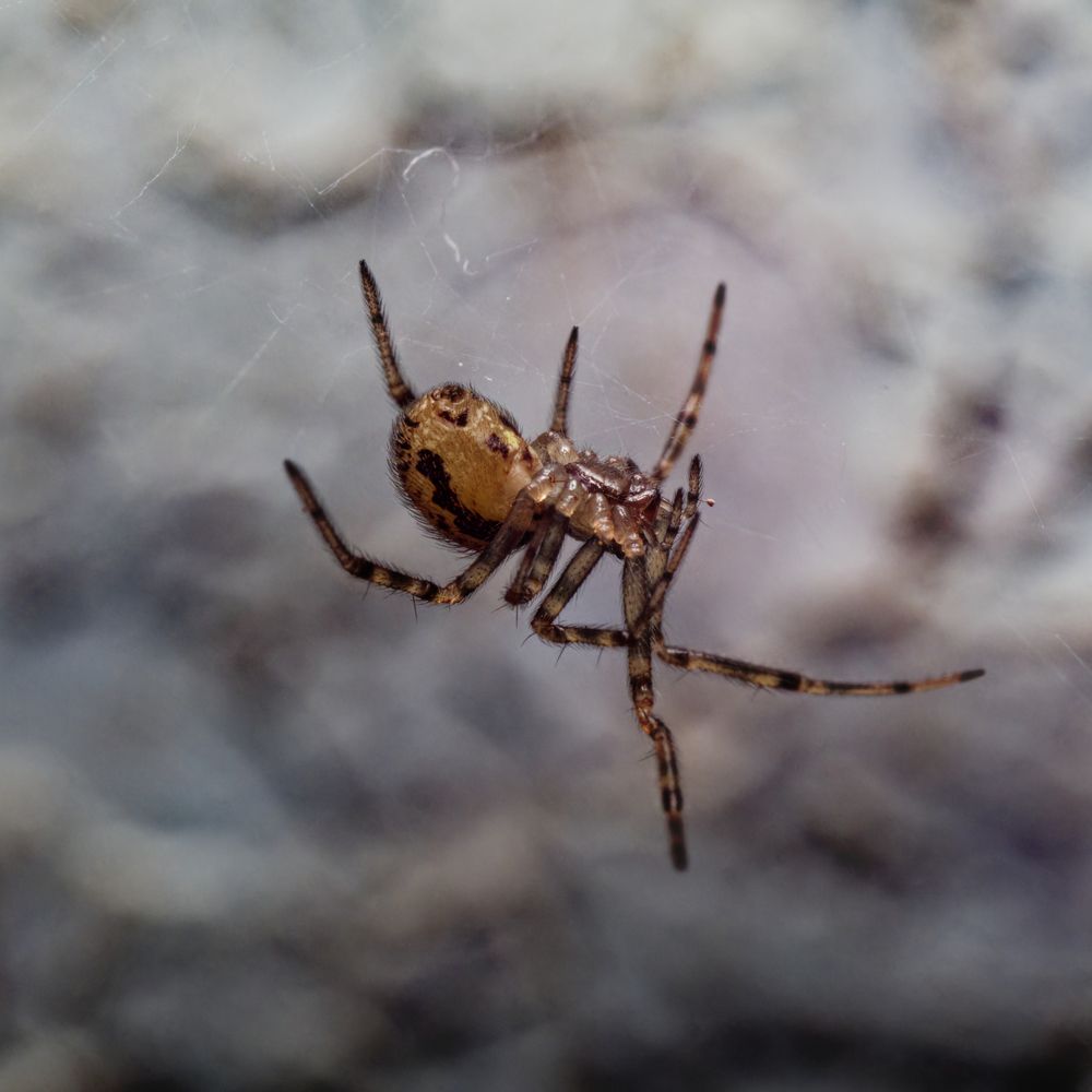 Photograph by Александр Данилов