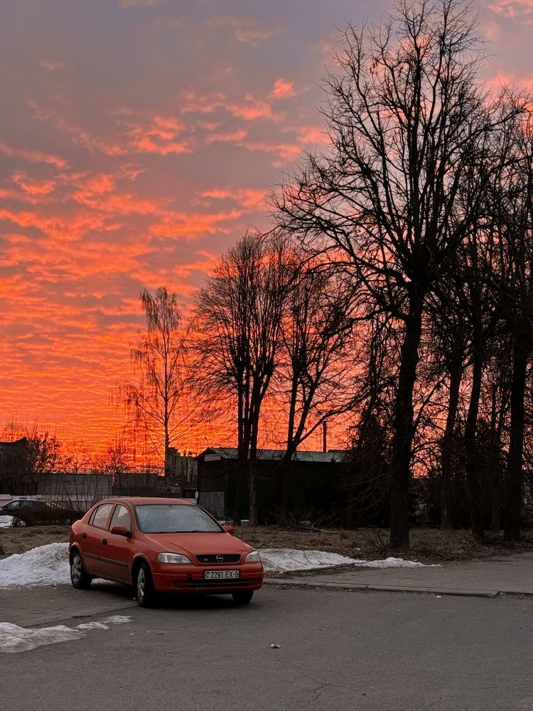 Photograph by Halina Mitsevich