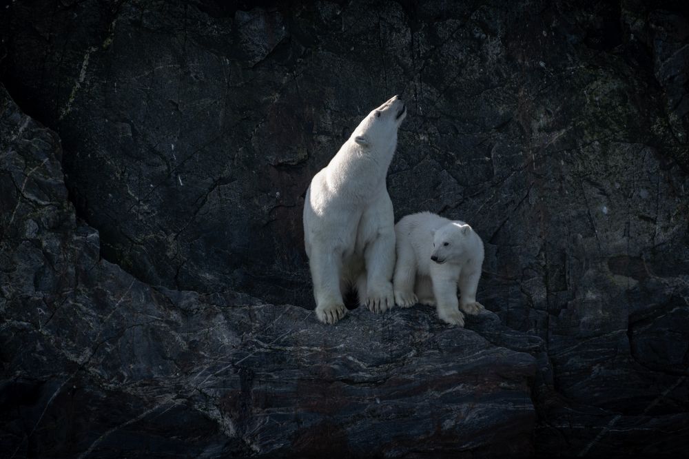 Последние дни лета