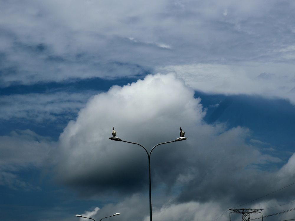 Photograph by Evgenii Askerov