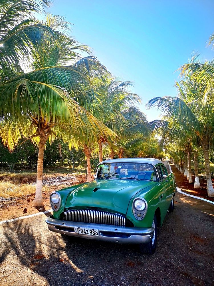 Photograph by Ruzena Suchánková