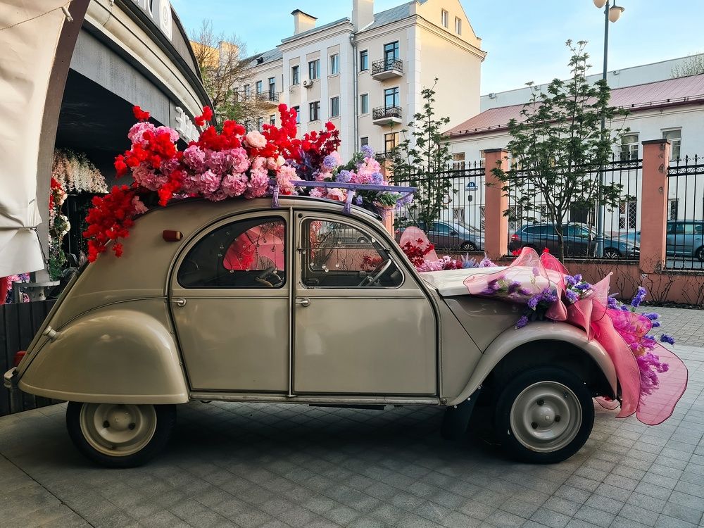 Photograph by Татьяна Соколовская