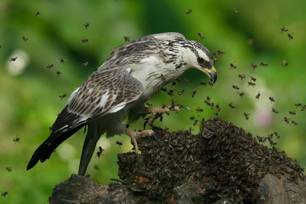 Photograph by Kan Chung Wong