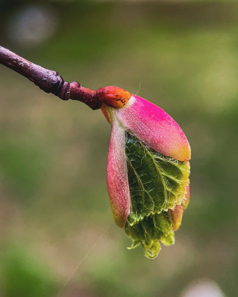 Photograph by Ольга Дорошенко