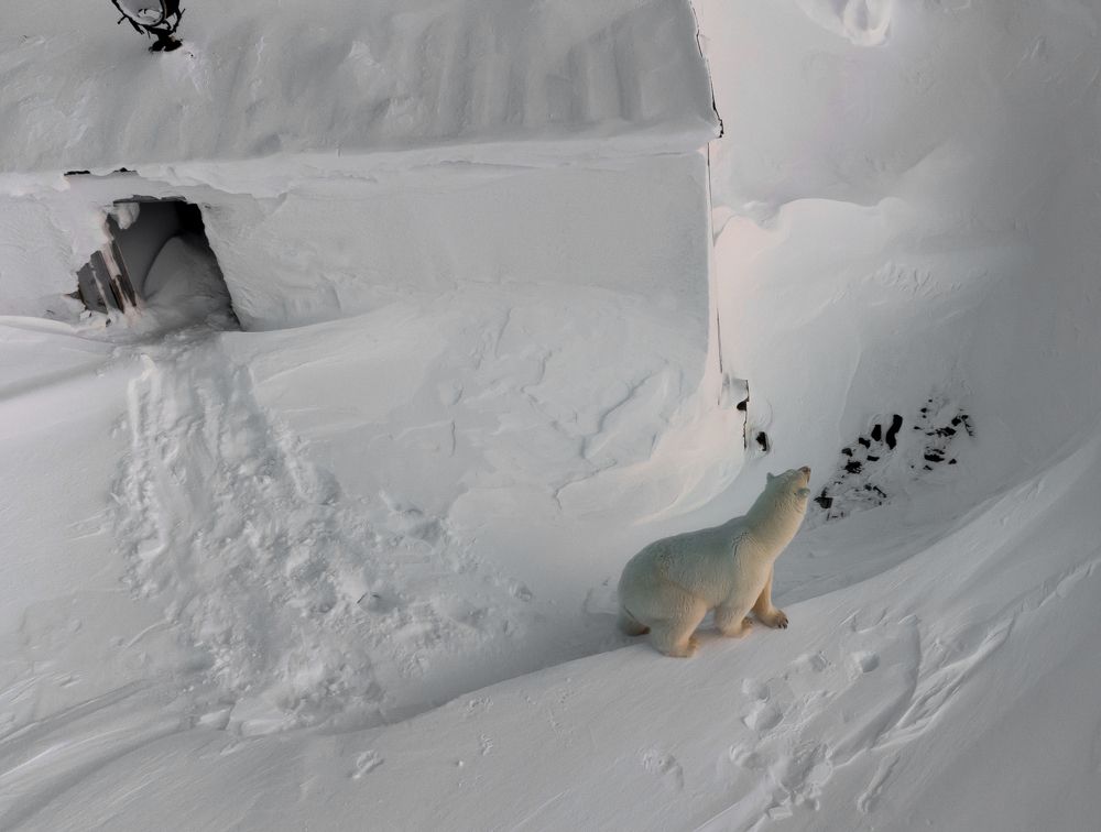 Photograph by Александр Фанталов