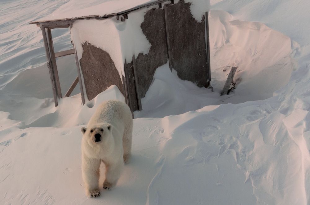 Photograph by Александр Фанталов