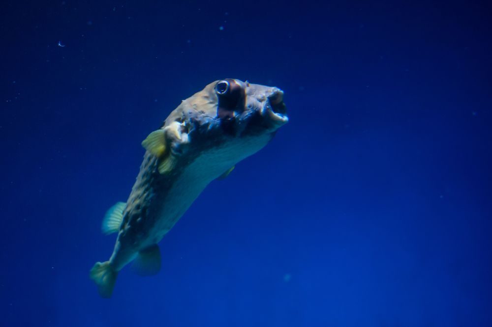 Photograph by Бадретдинов Виталий