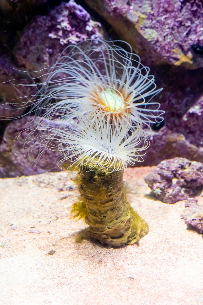 Photograph by Бадретдинов Виталий