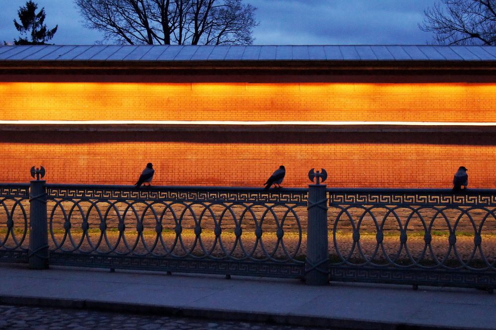 Фотография автора Ирина Кухарчук