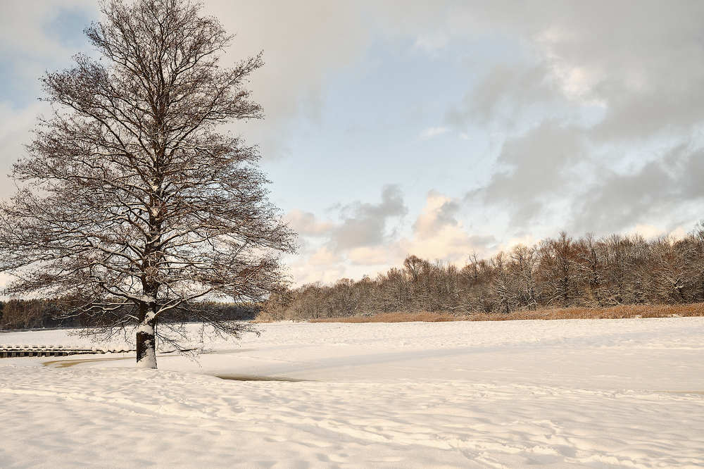 Photograph by Kaspars Mitulis