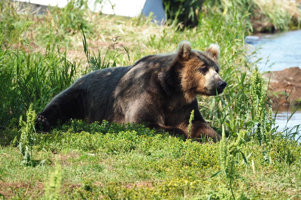 Photograph by Анна Тиунова