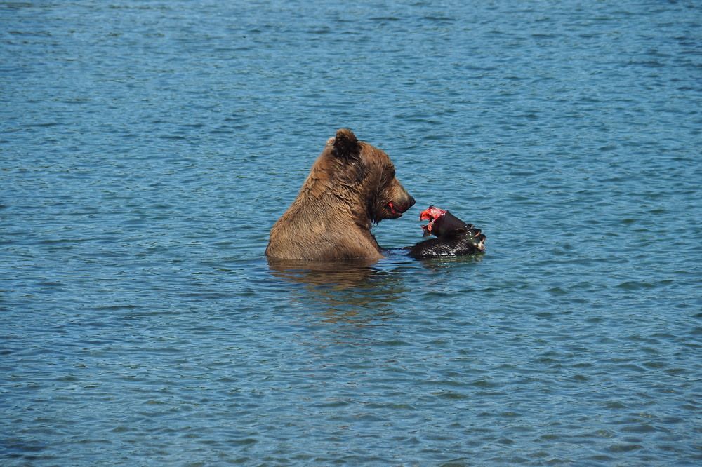 Photograph by Анна Тиунова