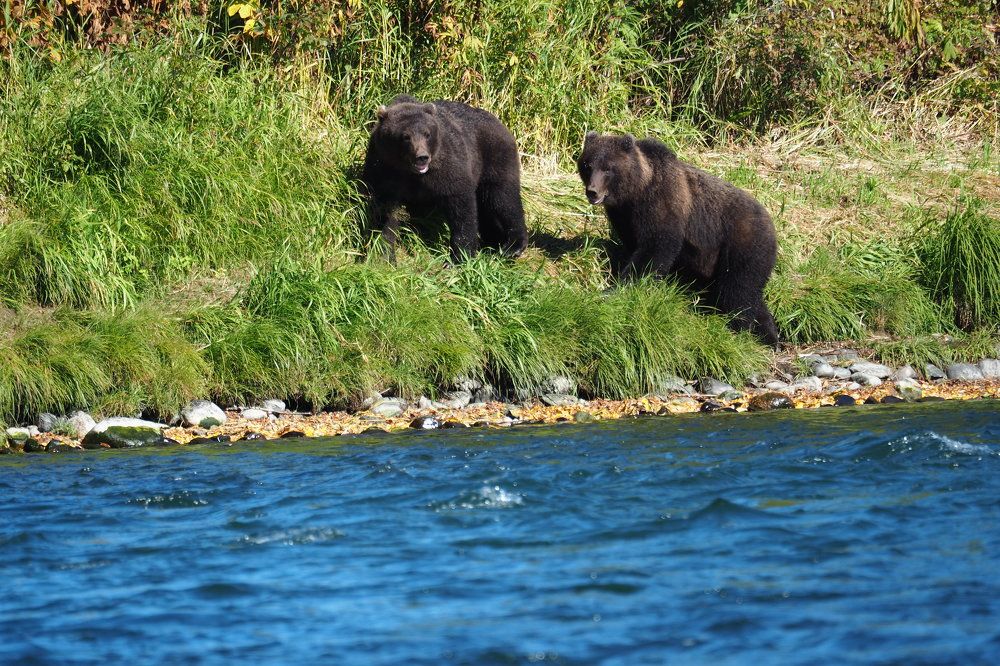 Photograph by Анна Тиунова