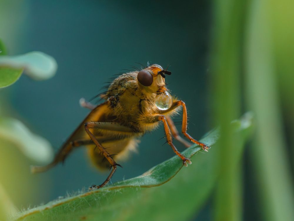 Photograph by Irina Protchenko