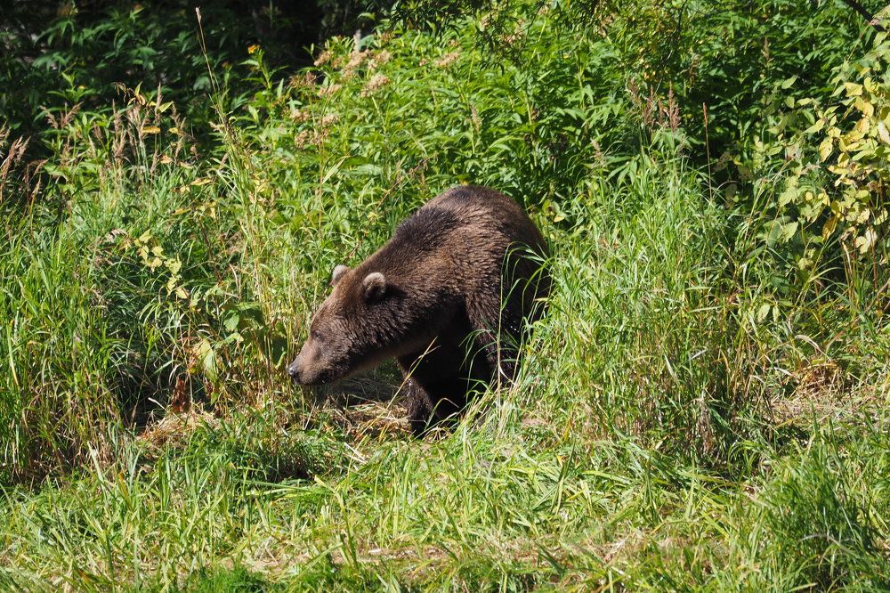 Photograph by Анна Тиунова