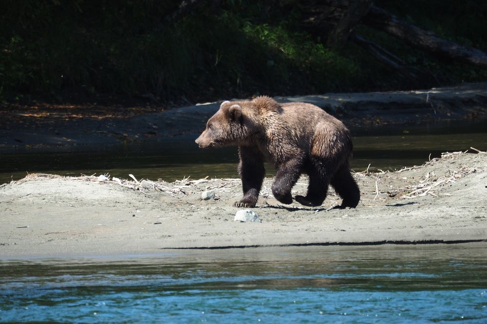 Photograph by Анна Тиунова