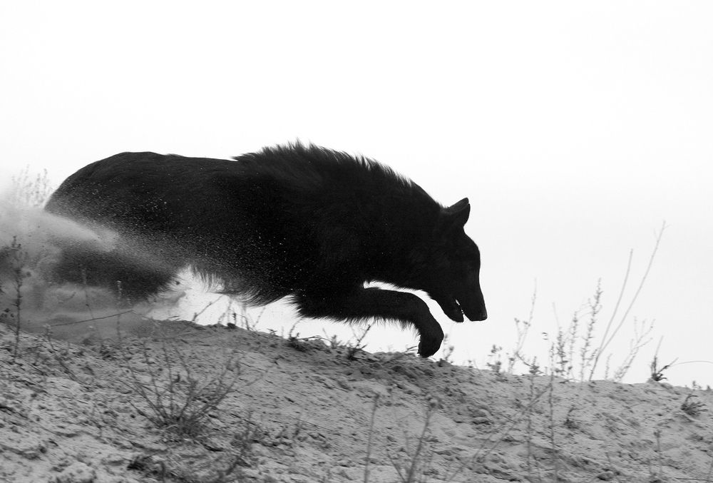 Фотография автора Надежда Лисицына