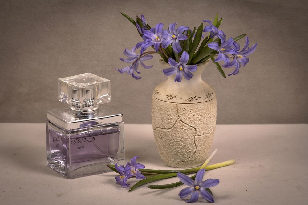 Photograph by Людмила Павловна